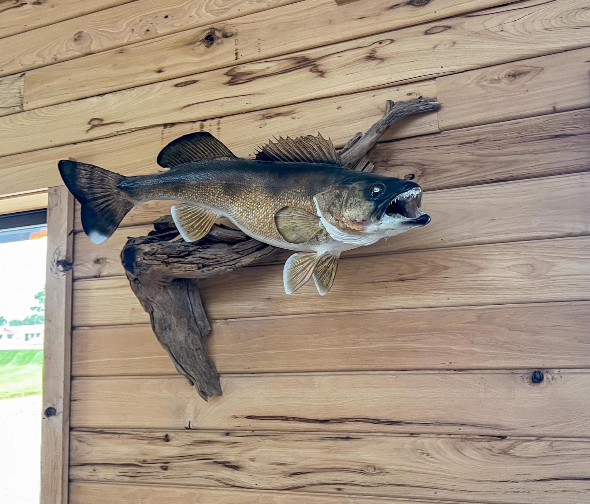 Walleye Inn Baudette Экстерьер фото